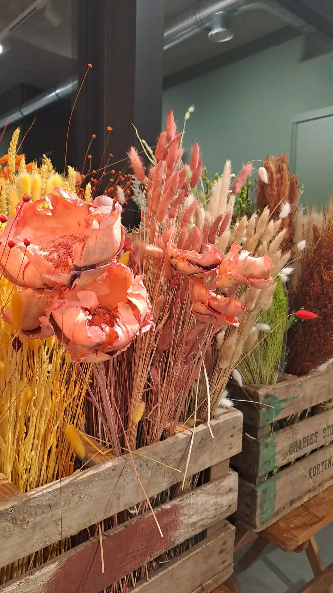 droogbloemen